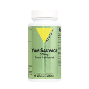 YAM SAUVAGE 500MG 60GEL